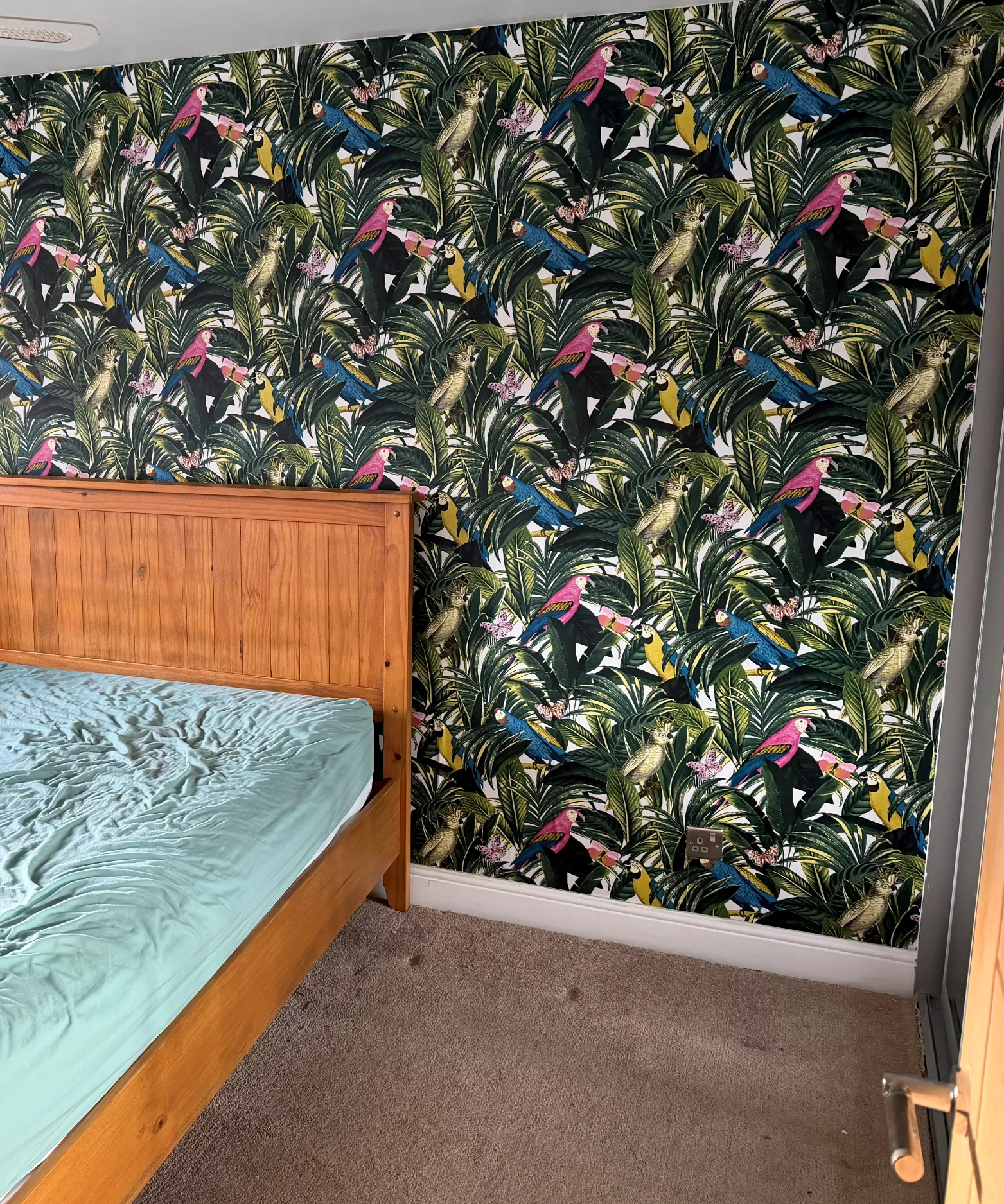 Wallpaper 1 painting and decorating in bedford